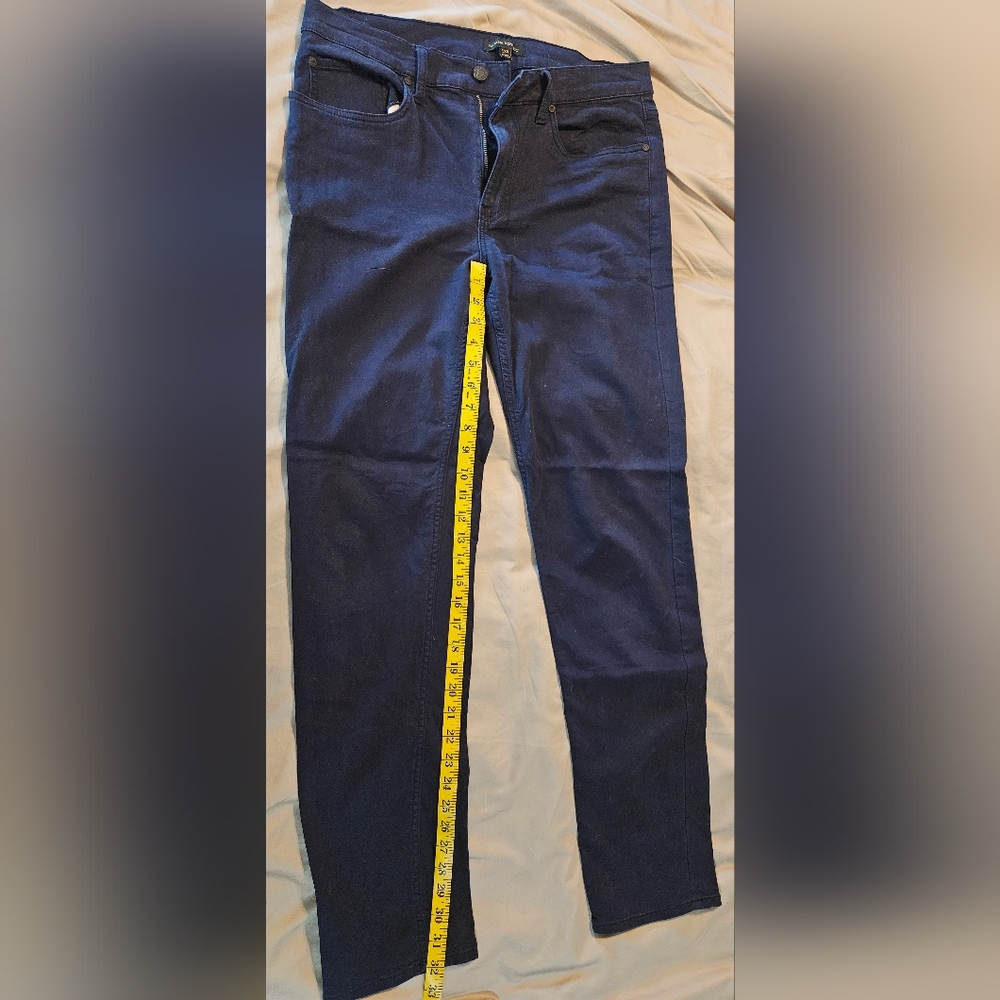Banana Republic Deep Blue Trousers